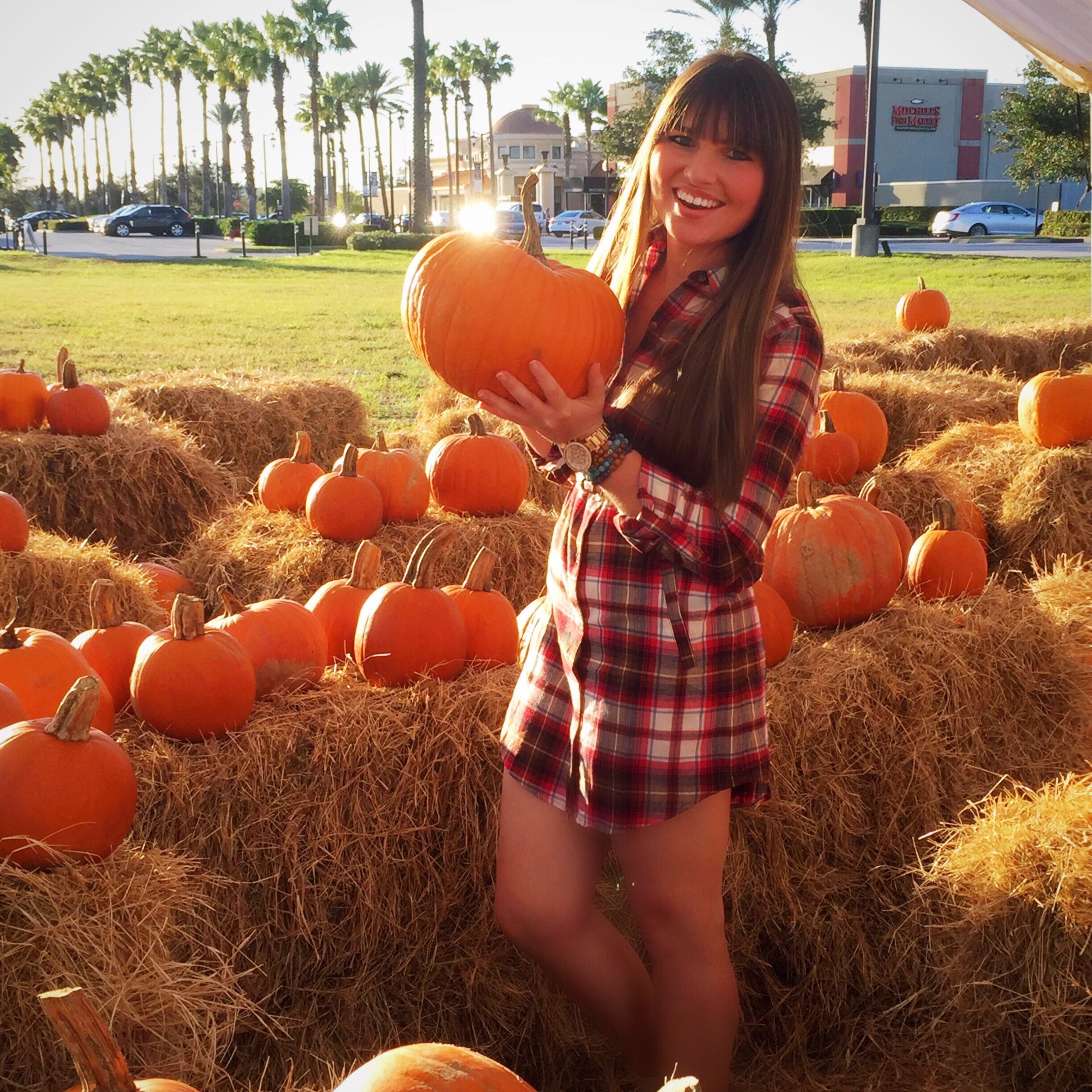 Happy National Pumpkin Day!