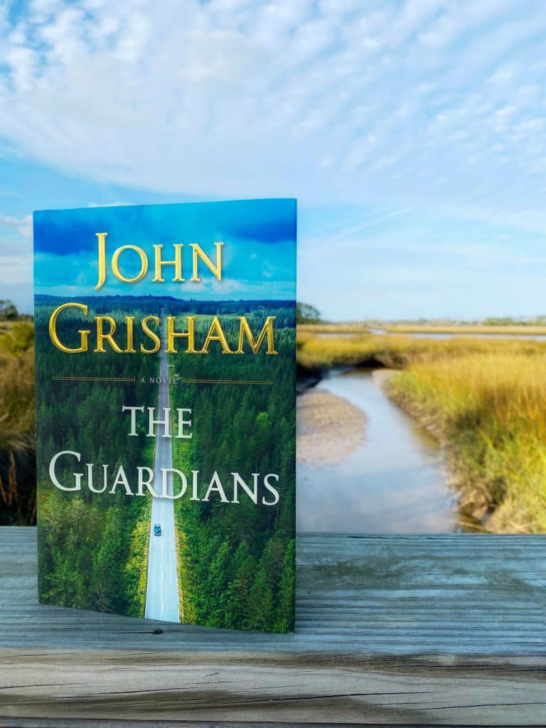 Bestselling novel The Guardians