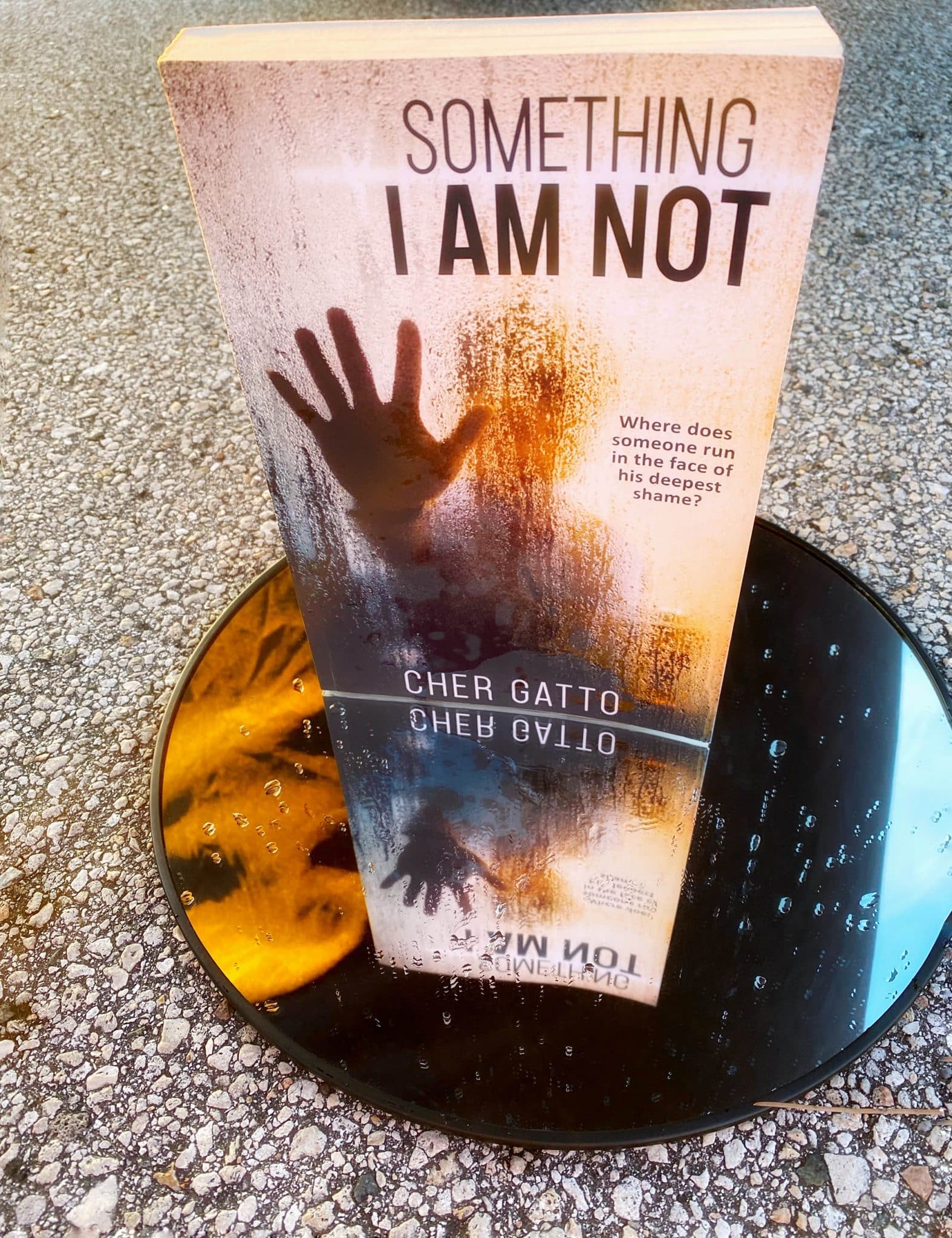 Something I Am Not by Cher Gatto