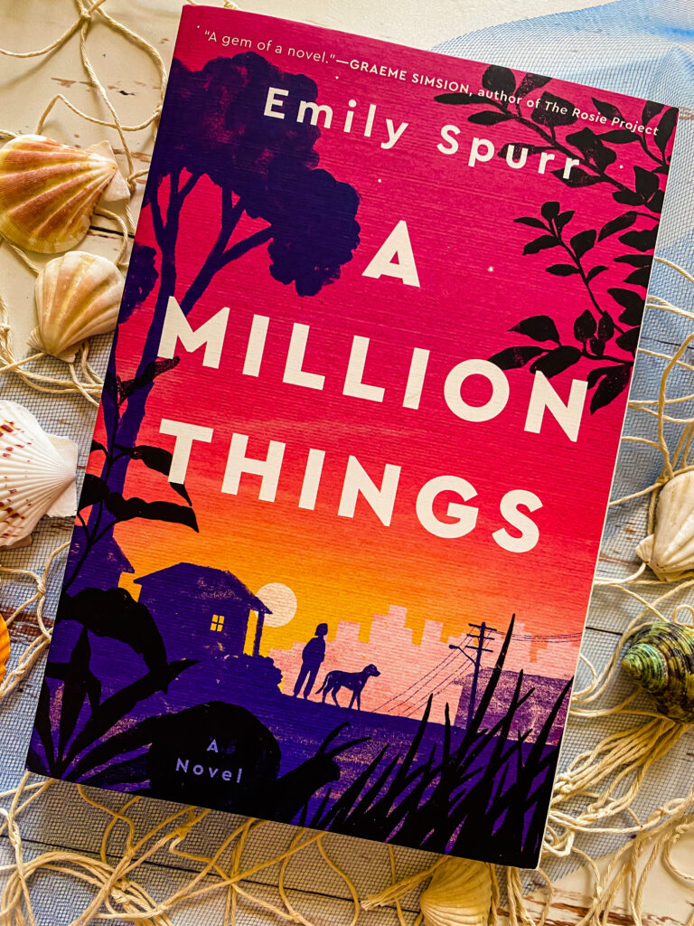 A Million Things by Emily Spurr Review