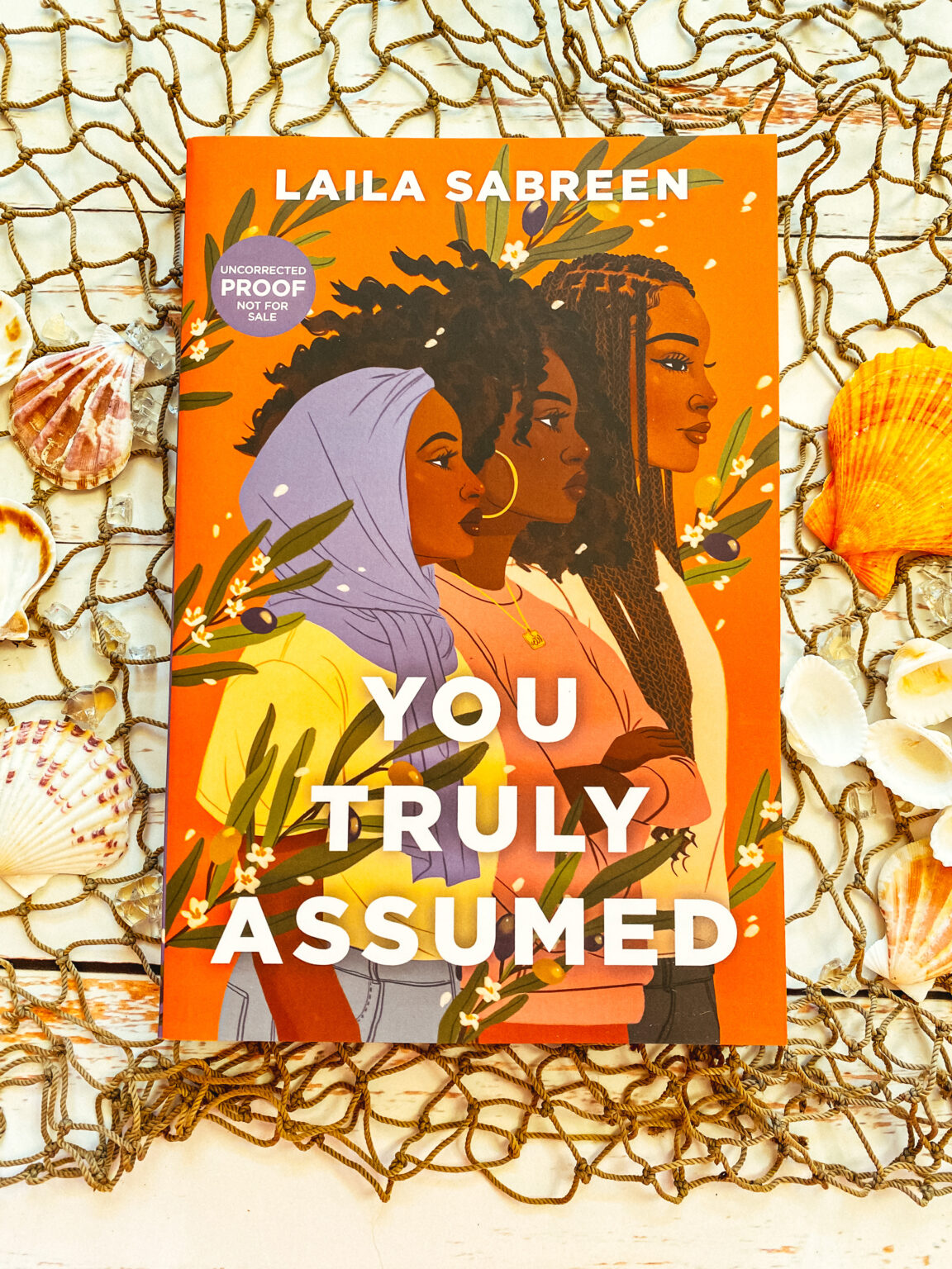 You Truly Assumed by Laila Sabreen