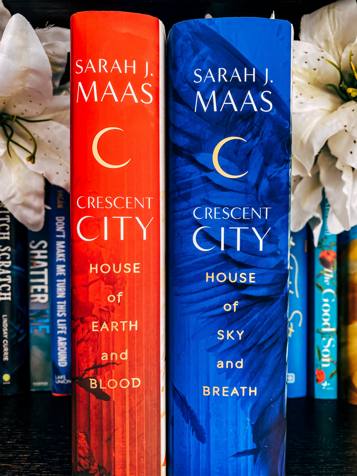 Sarah J. Maas books to read